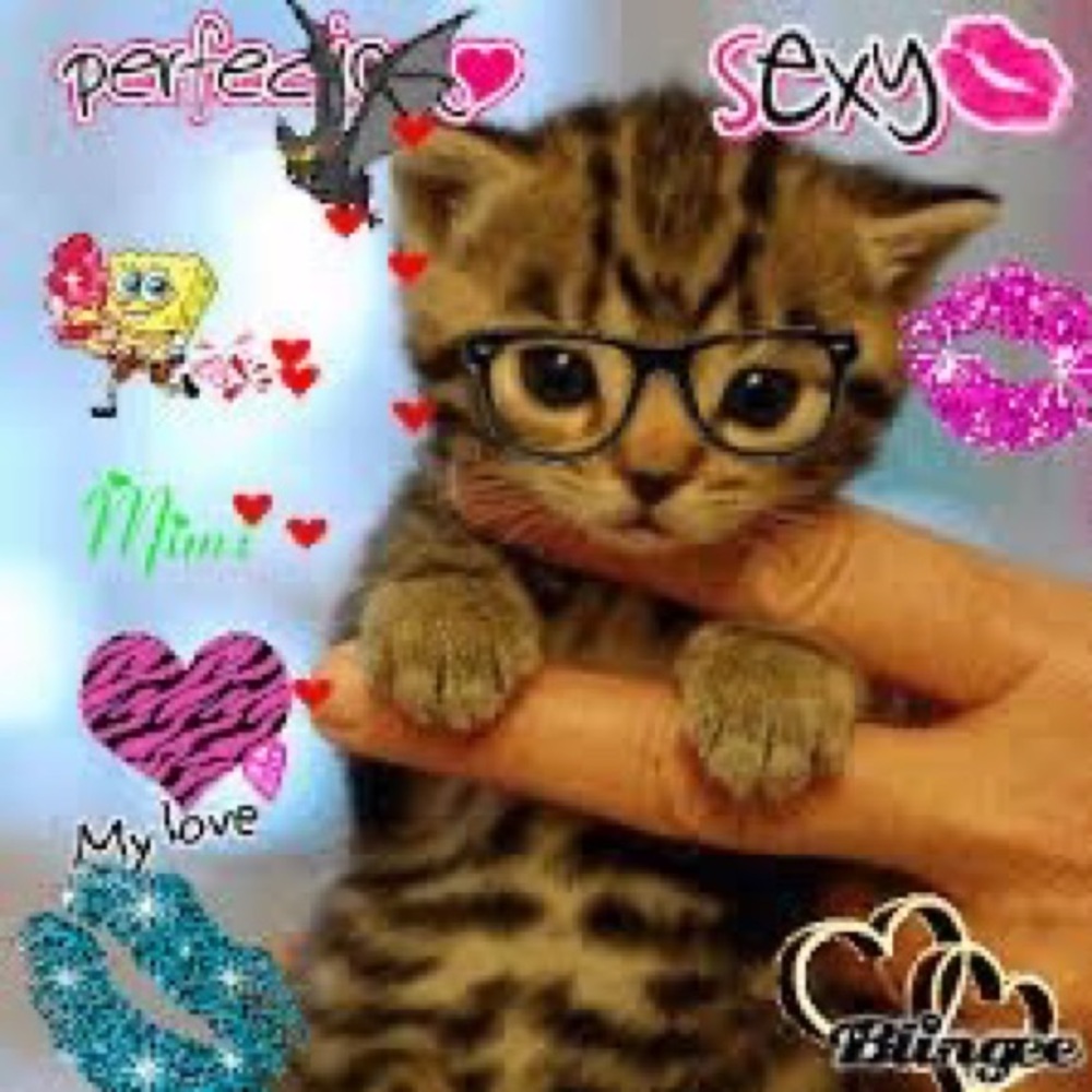 Meet your Posher, Grace